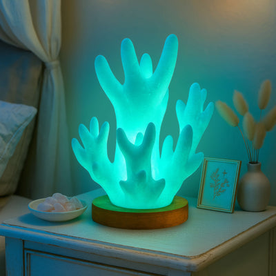 Coral Glow Lamp 2